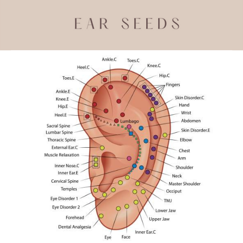 Ear Seed Instructions — Calgary Acupuncture Collective