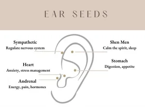 Ear Seed Instructions — Calgary Acupuncture Collective