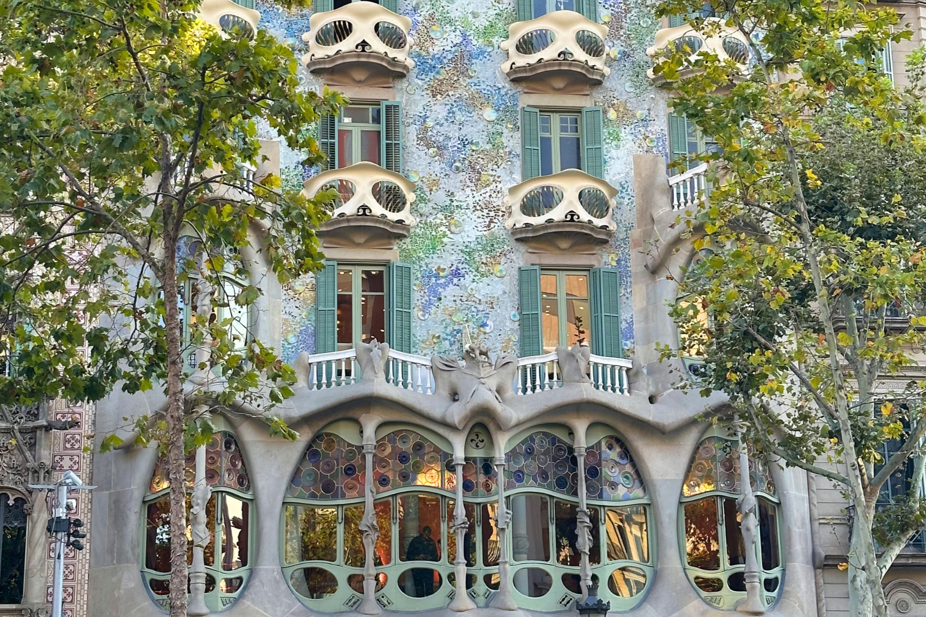 What Living Abroad Taught Me About Design