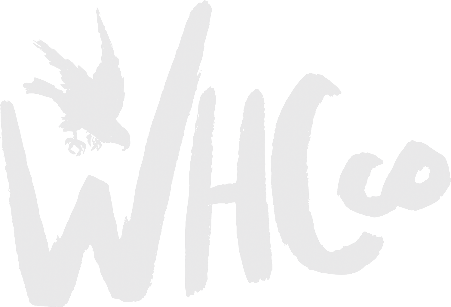White Hawk Creative Co.