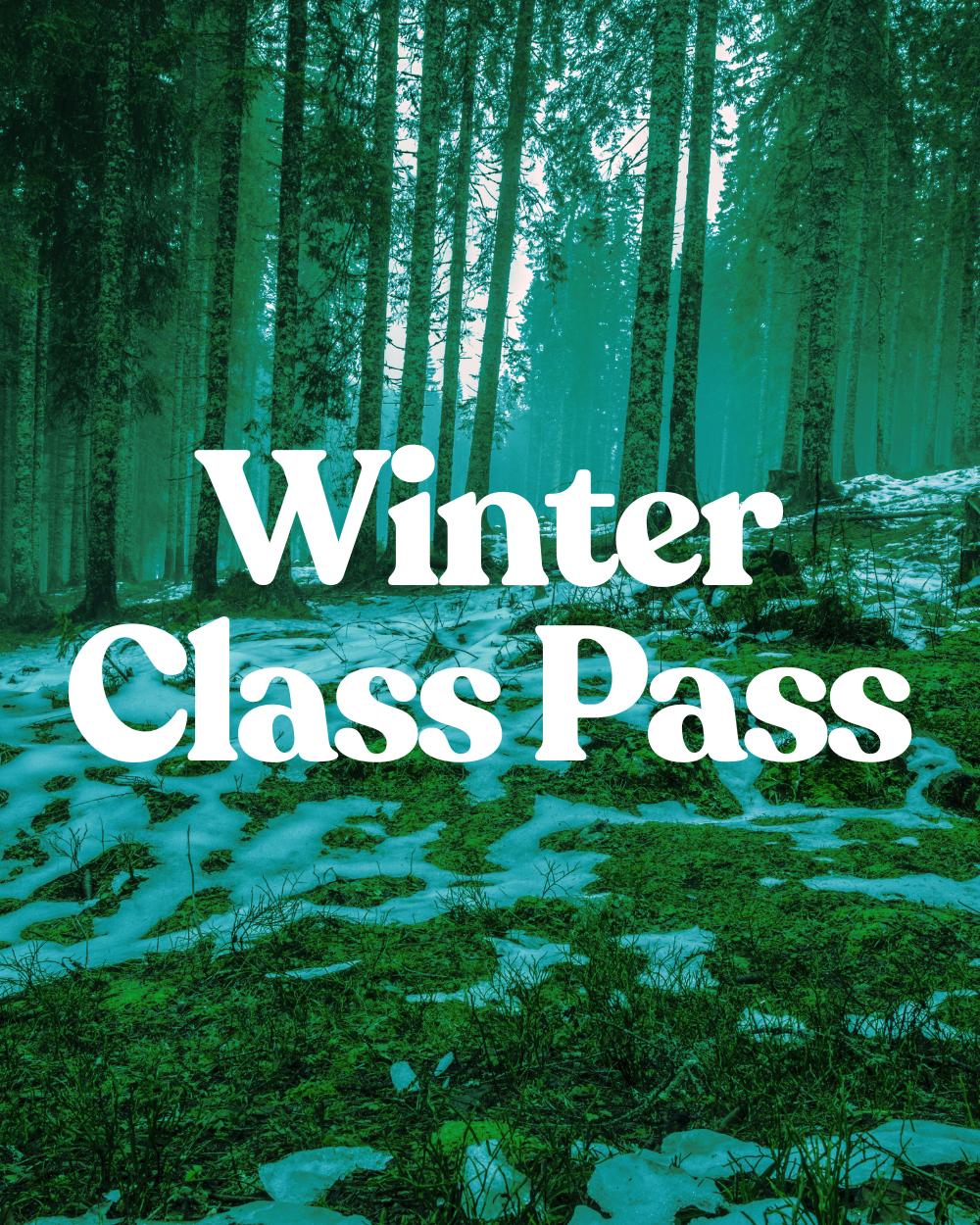 Winter Class Pass.png