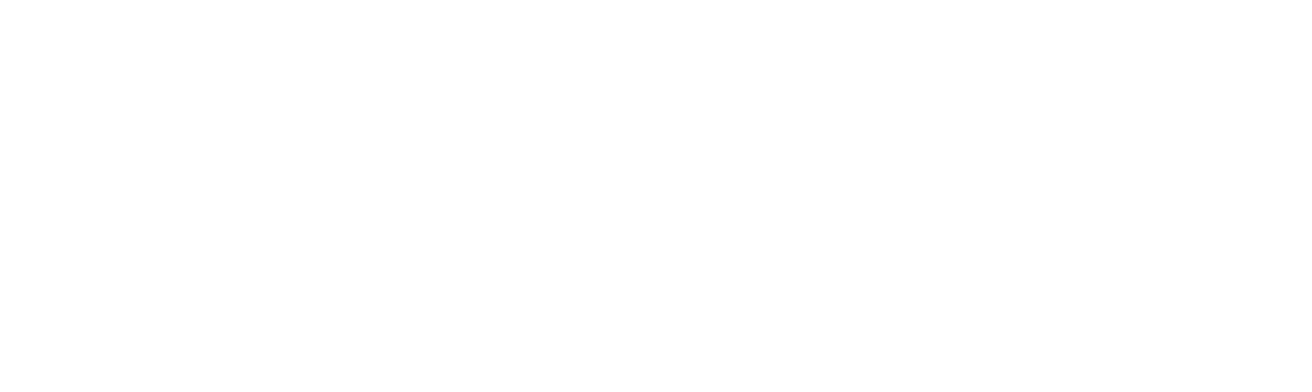 Sampson VA Services