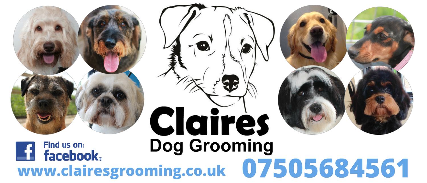 Claires Dog Grooming