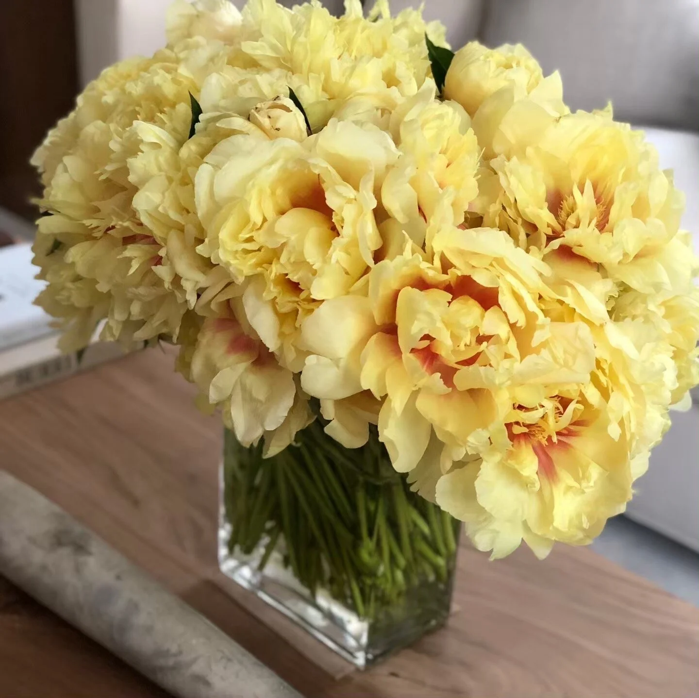 Peonies
