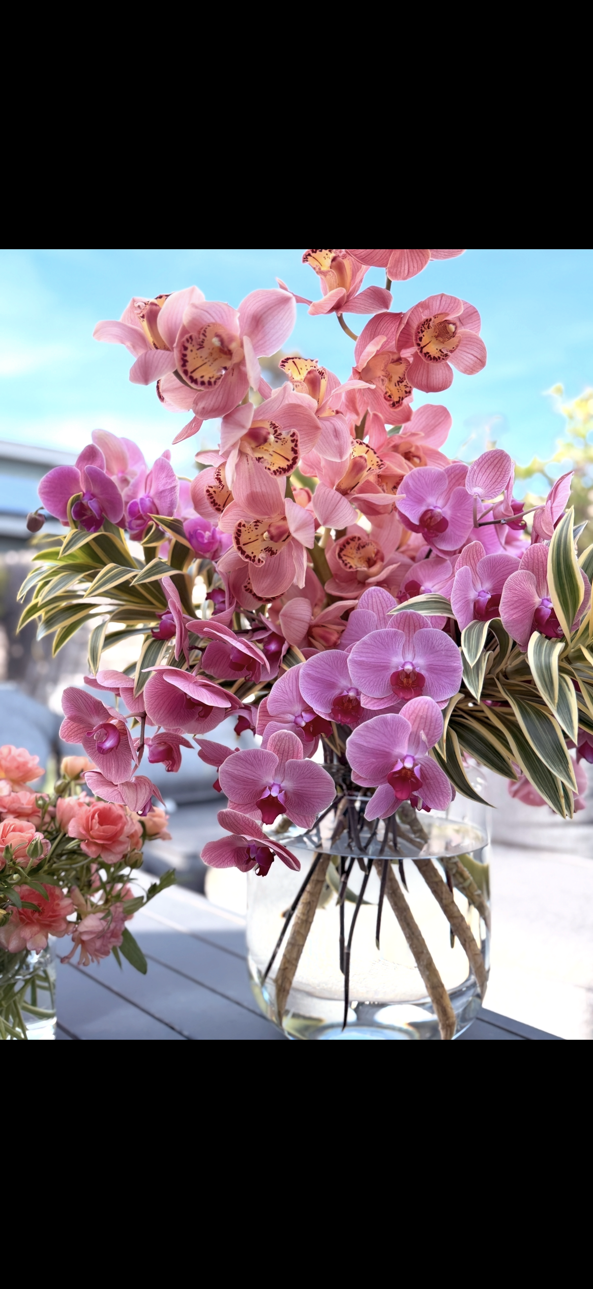 IMG_5940.png