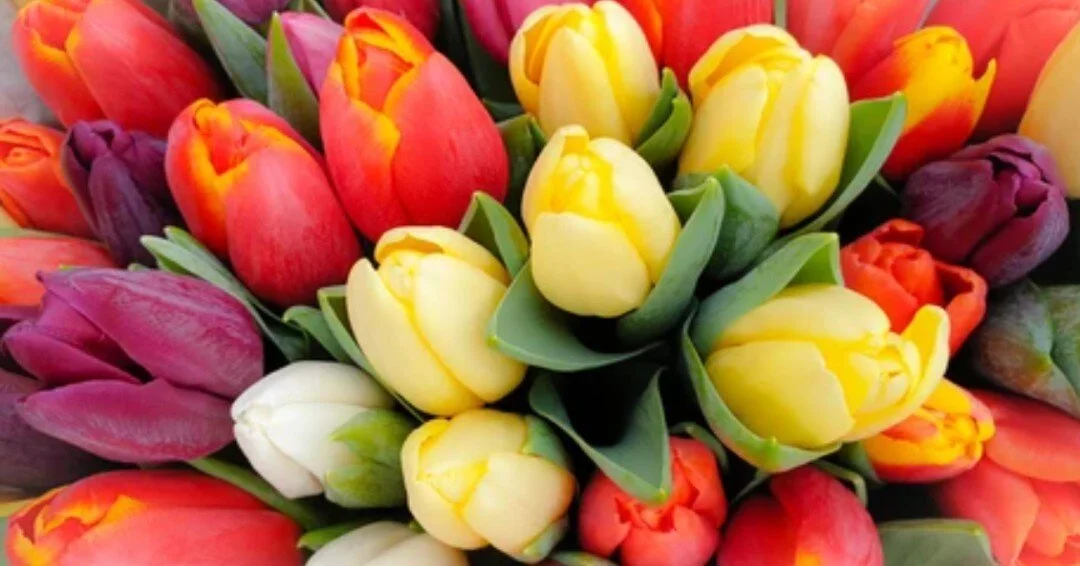 HEART 9/11 celebrates all that #MothersDay means - motherhood, maternal bonds &amp; the influence of mothers in society. We know the sacrifices that many mothers make allowing their husbands, sons &amp; daughters to volunteer with HEART 9/11 doing gr