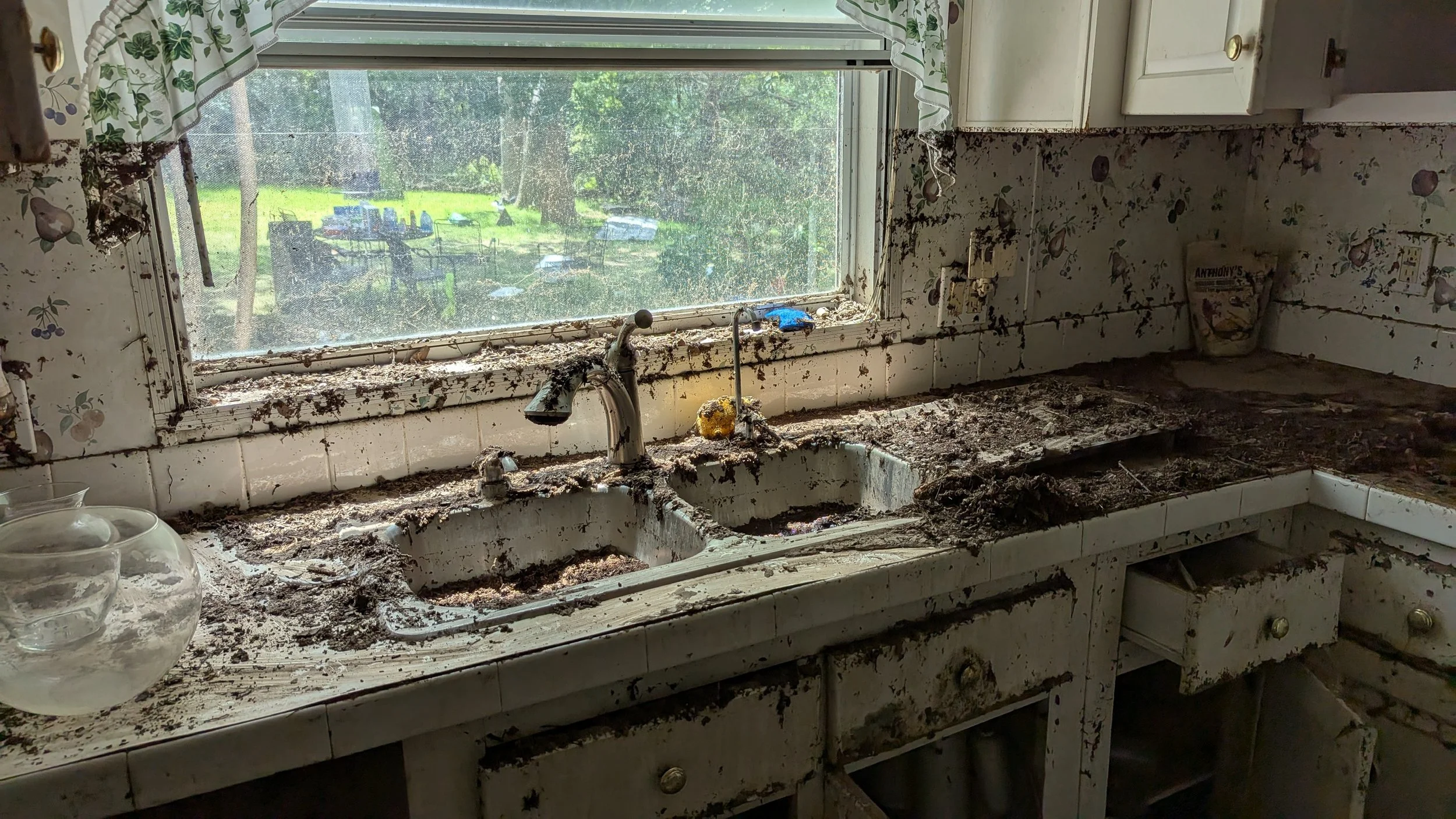 *HEART 911 .com TEXAS  -32.JPG