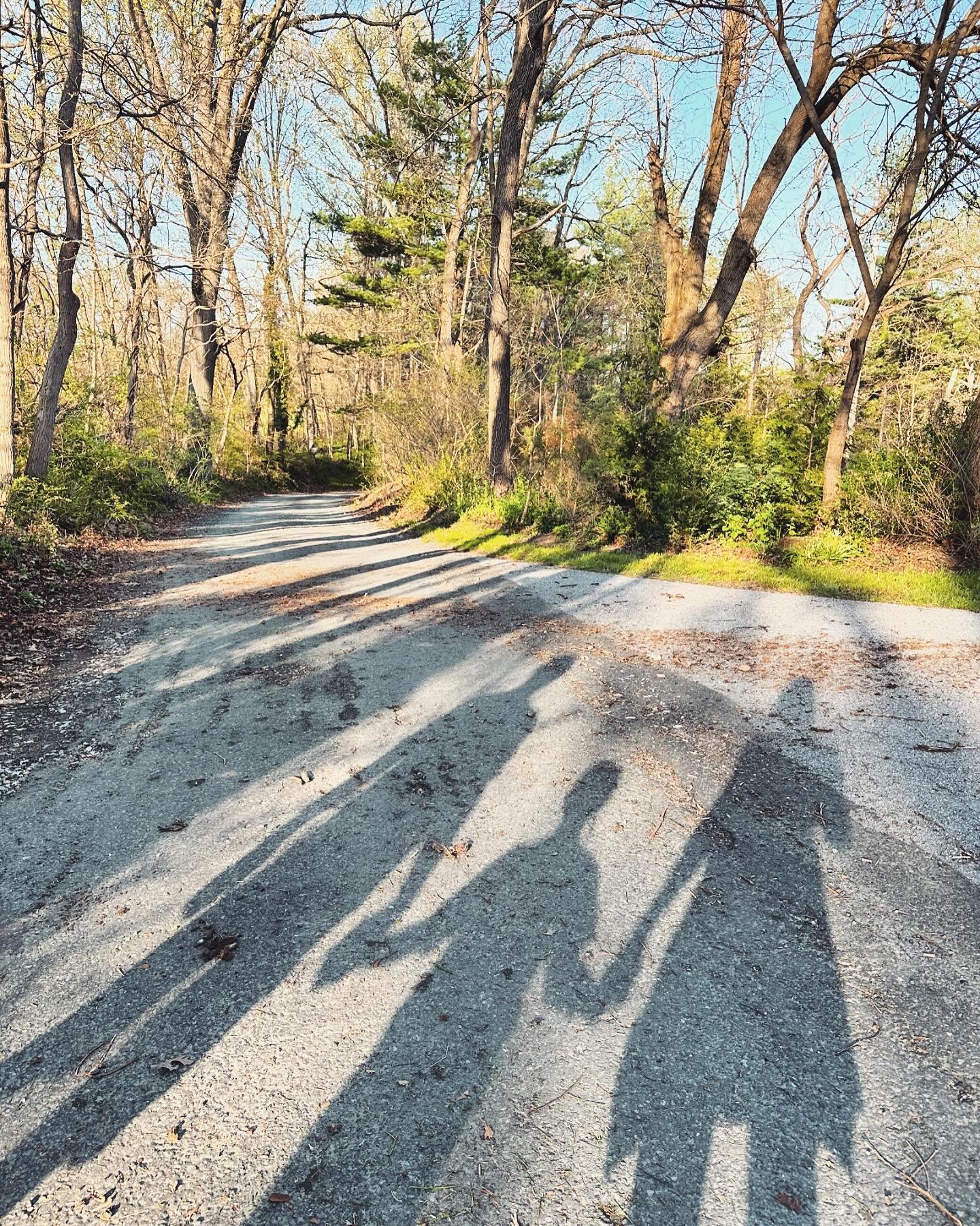 &lsquo;Stand right here in the sun light Mama and take our picture together. We can call this one Mondays.&rsquo; 🥰💛💫 #lifewithDLB #sunsetwalk #optoutside #gratitude #boymom #adventuresatwildpines #shadowplay