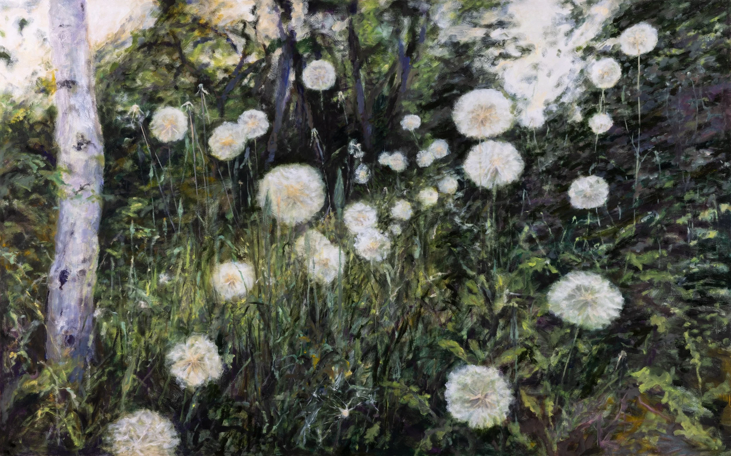 Dandelions, Oil on birch, 30 x 48" 2026