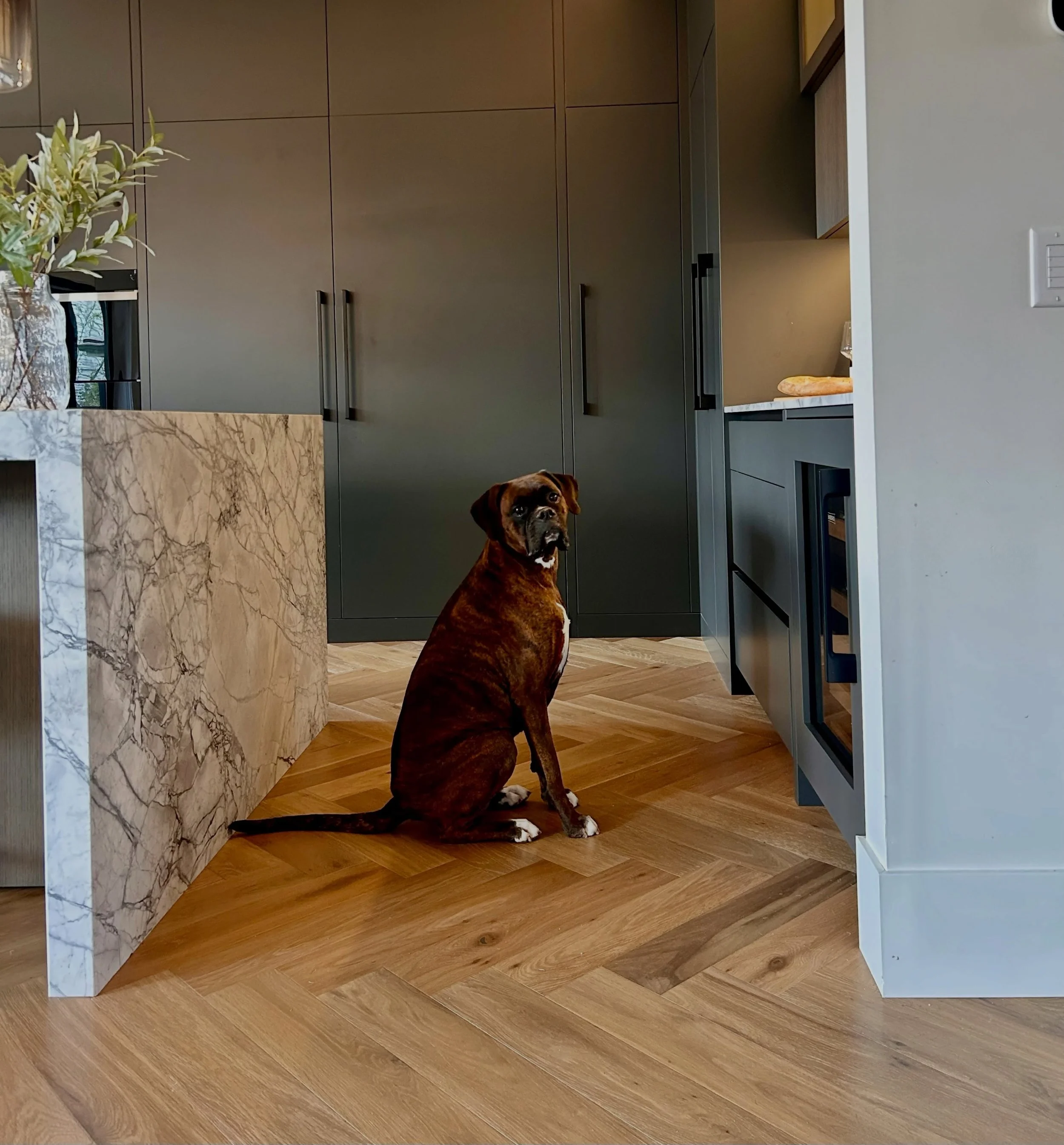 Another project wrapped &mdash; with the cutest site supervisor making sure every detail was perfect 🐾✨

#InteriorDesign #LuxuryInteriors #ModernHome #KitchenDesign #HomeStyling