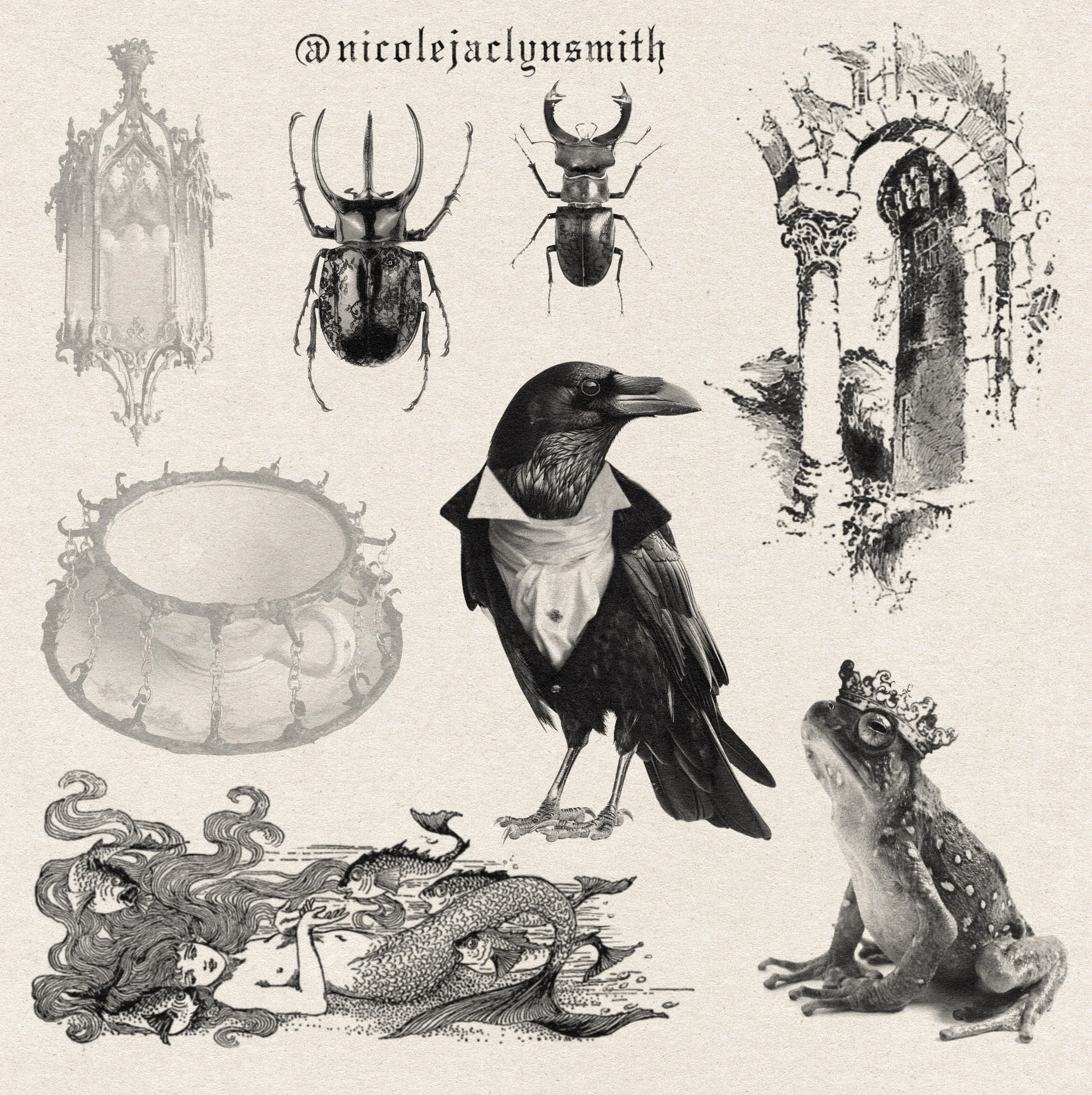 Endpaper-Rag-By-TGTS 3.jpg