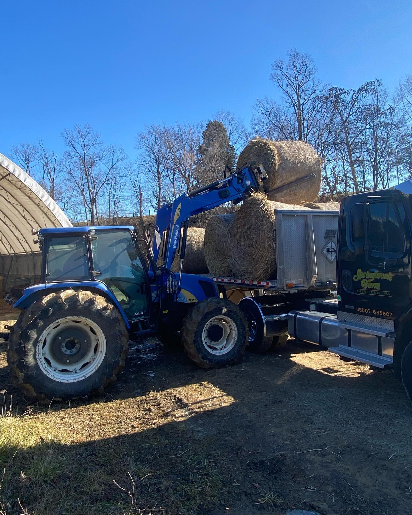 Our good Friend, Kevin, from Springbrook Farm recently brought us two loads of hay to help keep us stocked up for the winter! Uncle Bob and Kevin have been working together for many years, and it is relationships like this that make up the backbone o