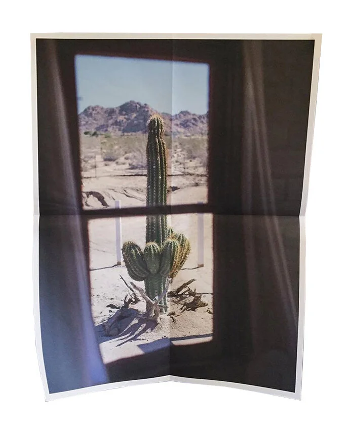 PRINT: Untitled (Cactus Window), 2015