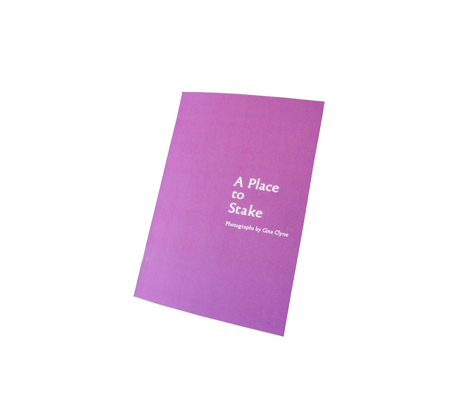 ZINE: A Place to Stake, 2011