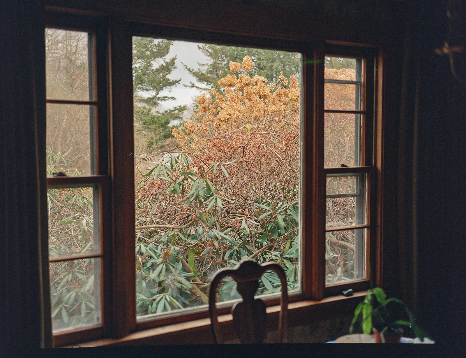 Thanksgiving 2022 in Brattleboro, Vermont