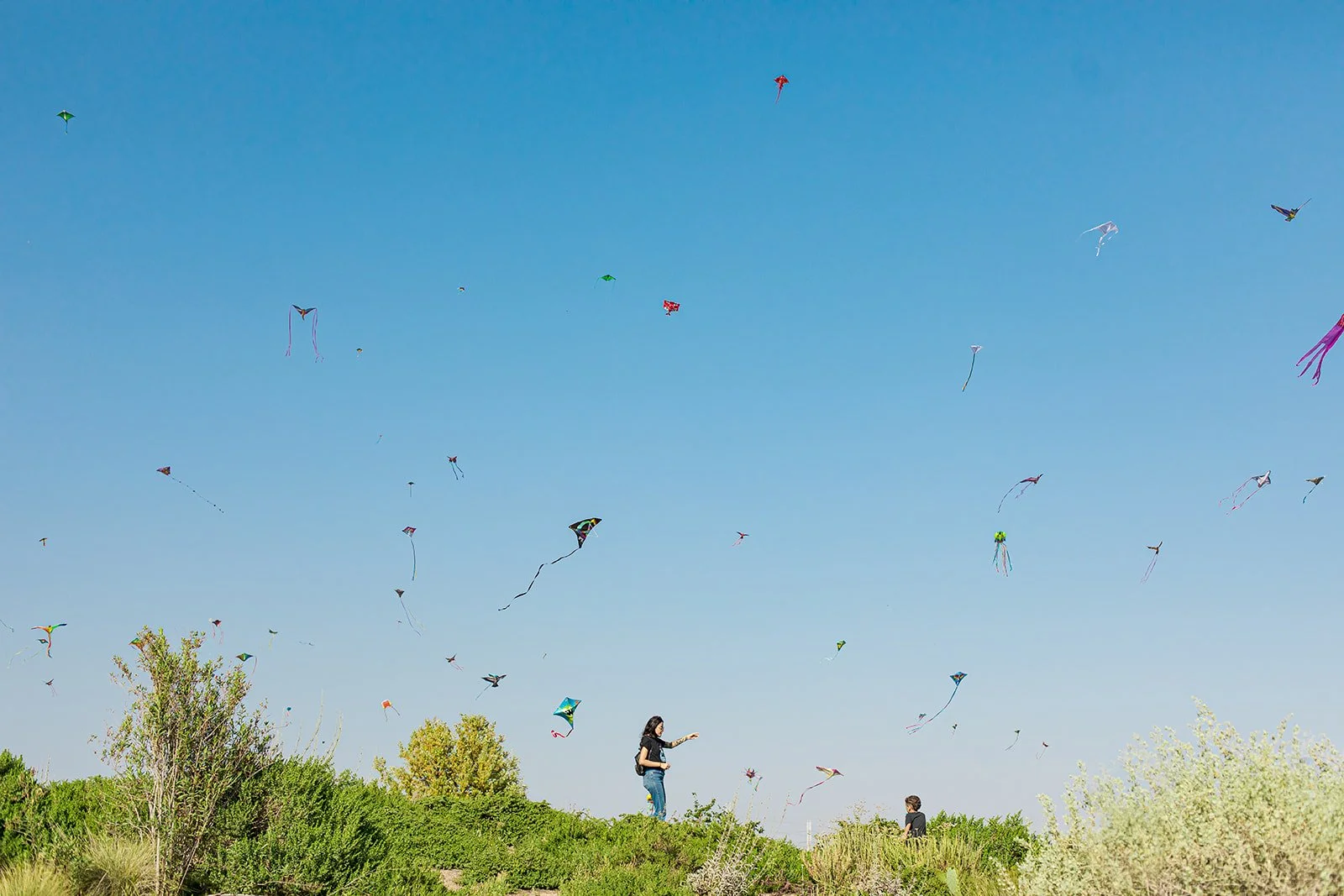 Clockshop: 3rd Annual Community &amp; Unity People’s Kite Festival, Los Angeles State Historic Park