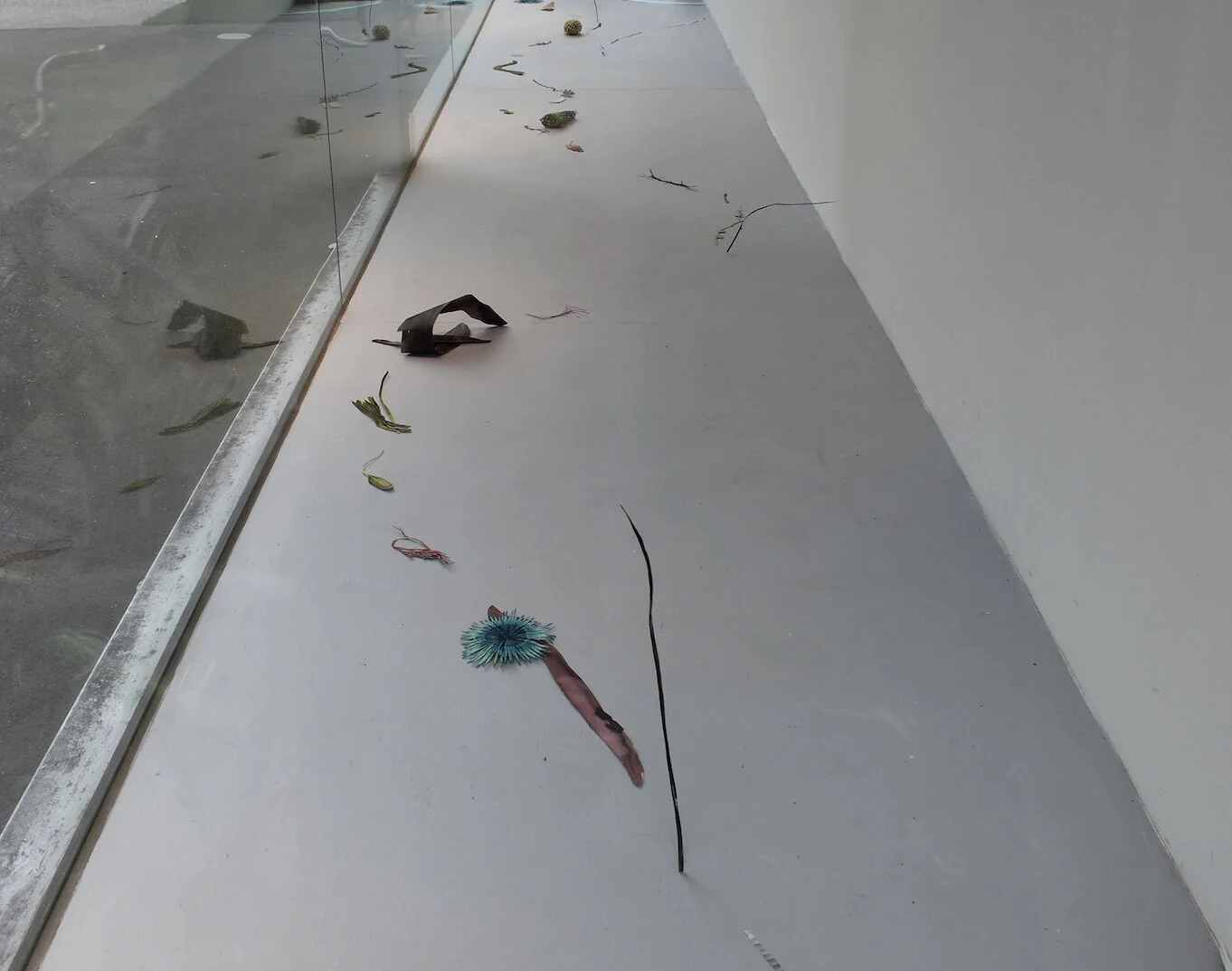 Calm has no direction: shoreline (installation), watercolour on paper, 2018