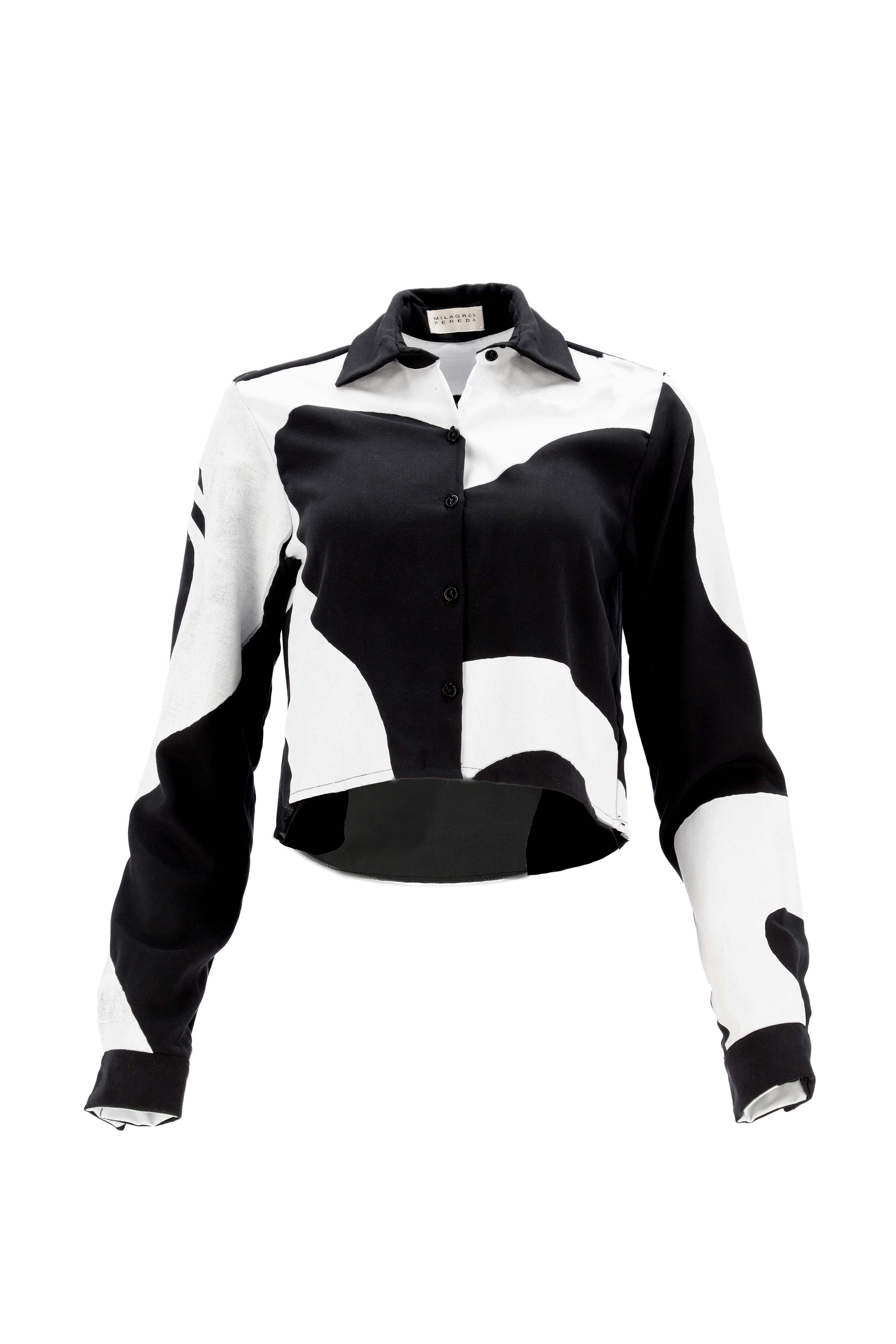 Camisa pintada.png