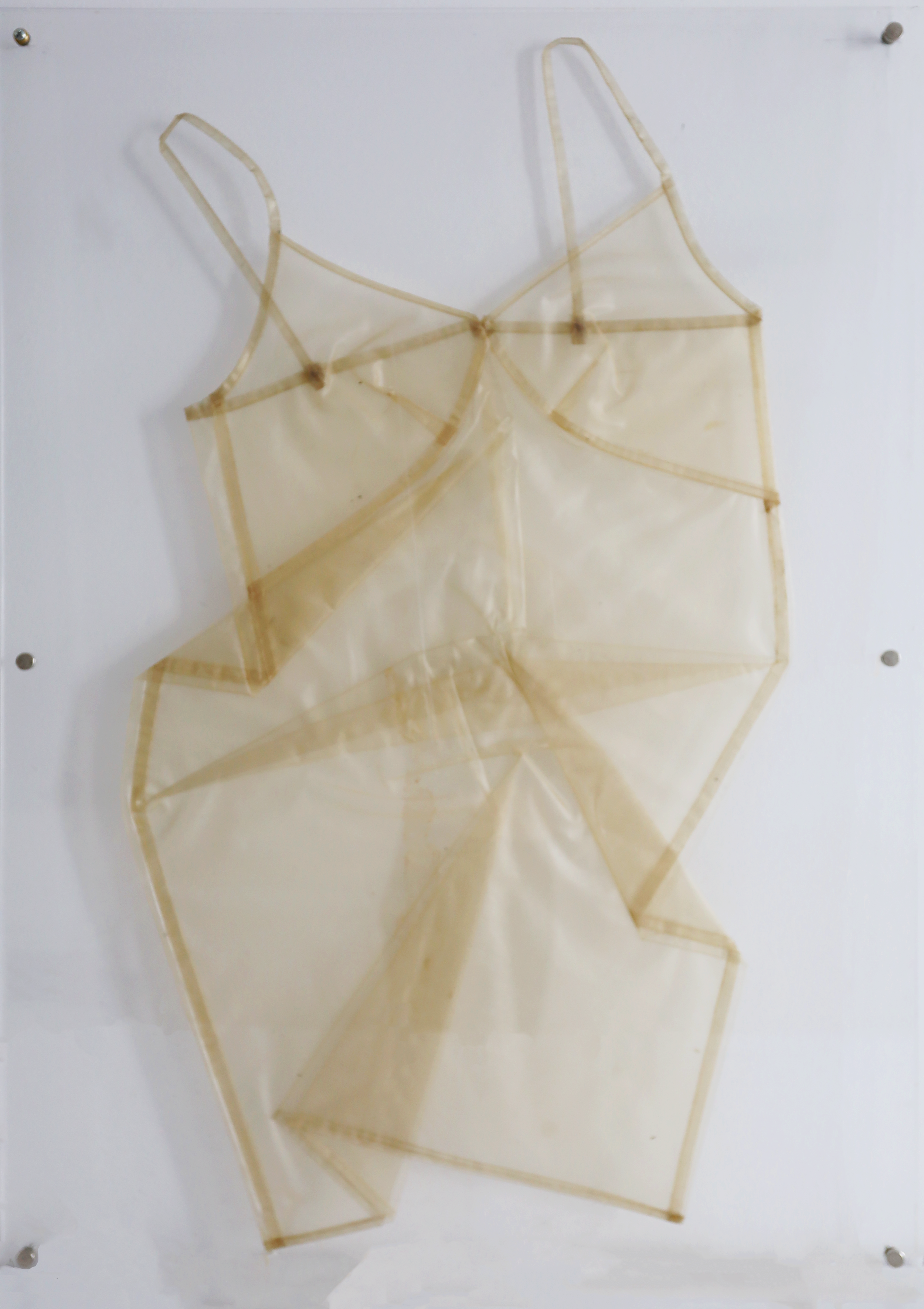 BIOMATERIAL ON ACRYLIC FRAME