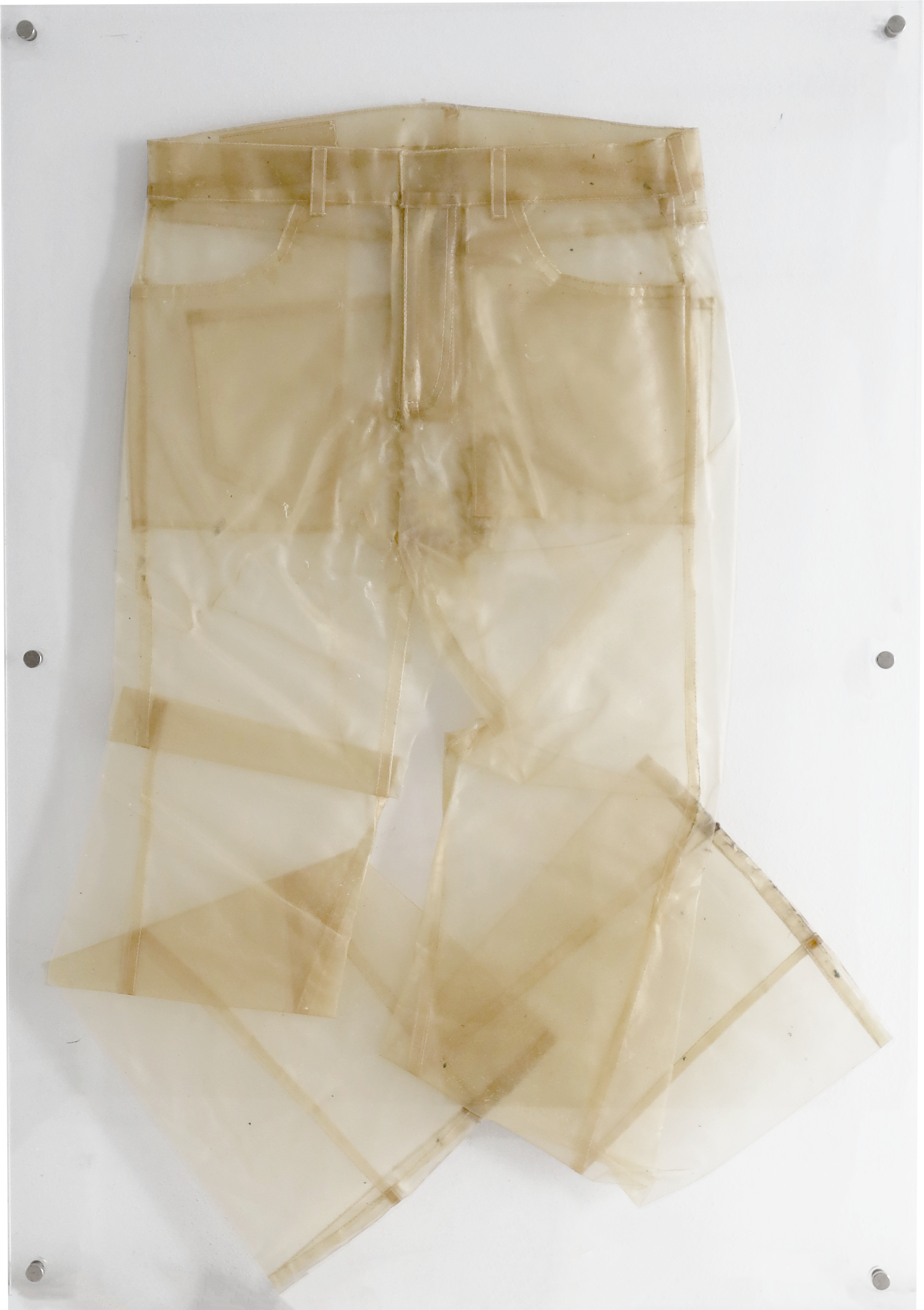 BIOMATERIAL ON ACRYLIC FRAME