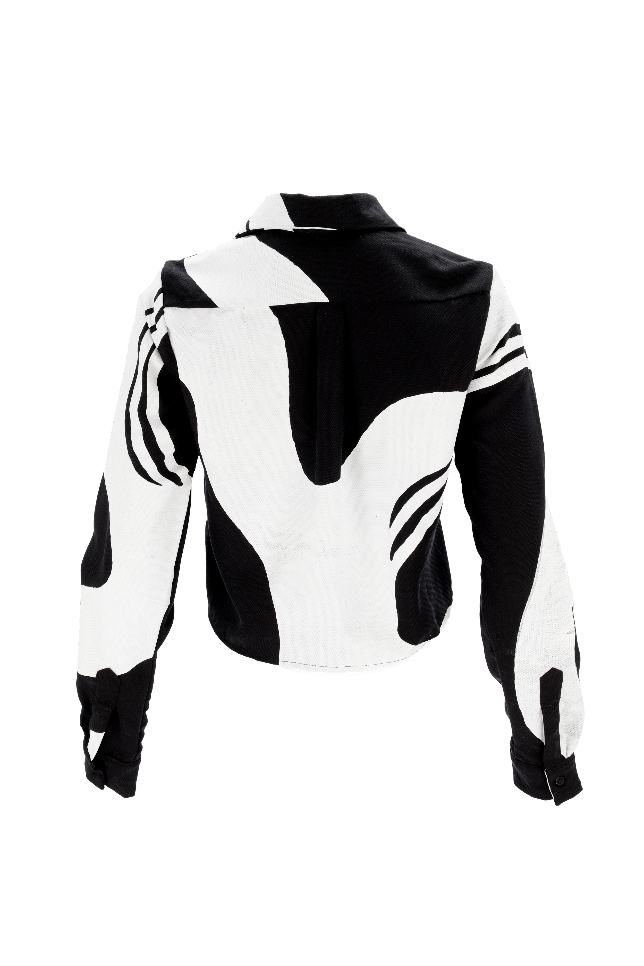 Camisa pintada_2.png