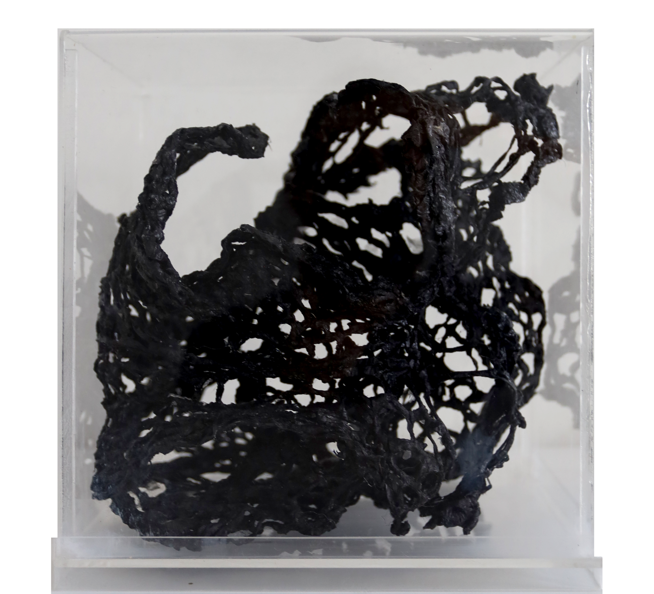 CROCHET + BIOMATERIAL IN ACRYLIC BOX