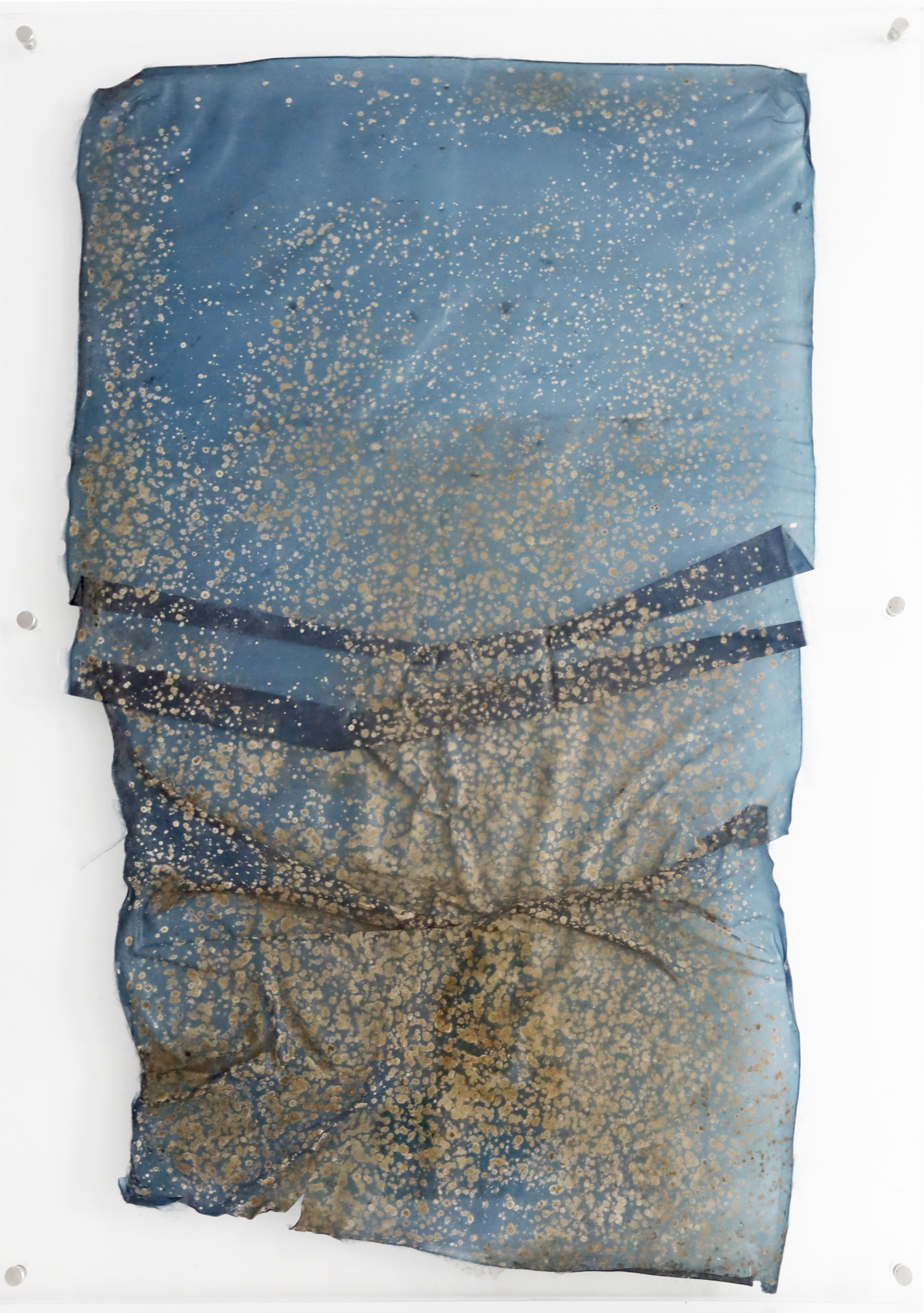 BIOMATERIAL ON ACRYLIC FRAME