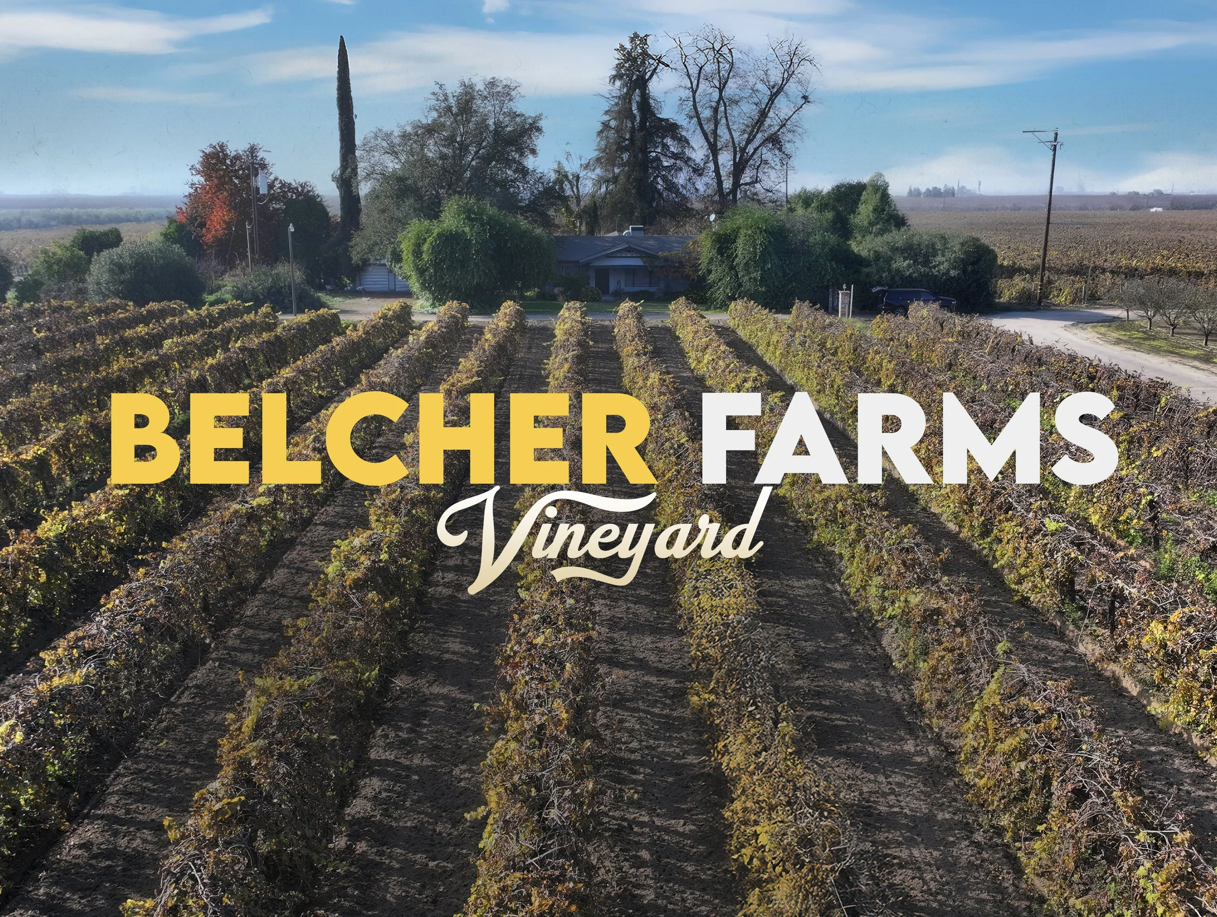 BELCHER FARMS SOLD.jpg