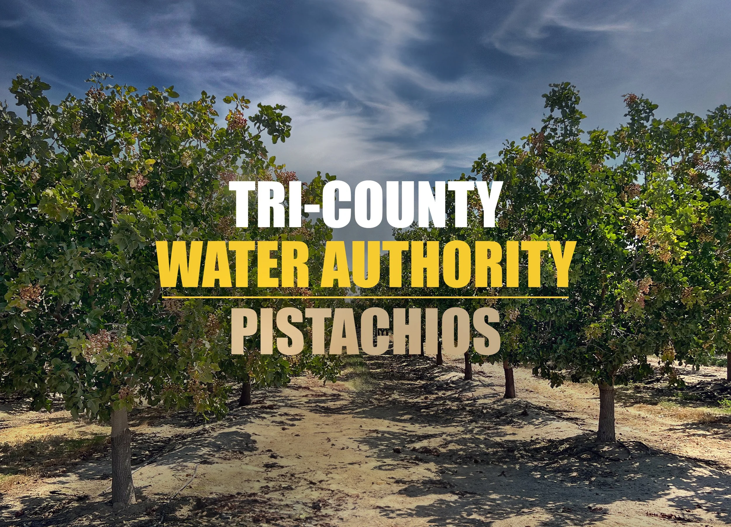 TRI COUNTY CURRENT.jpg