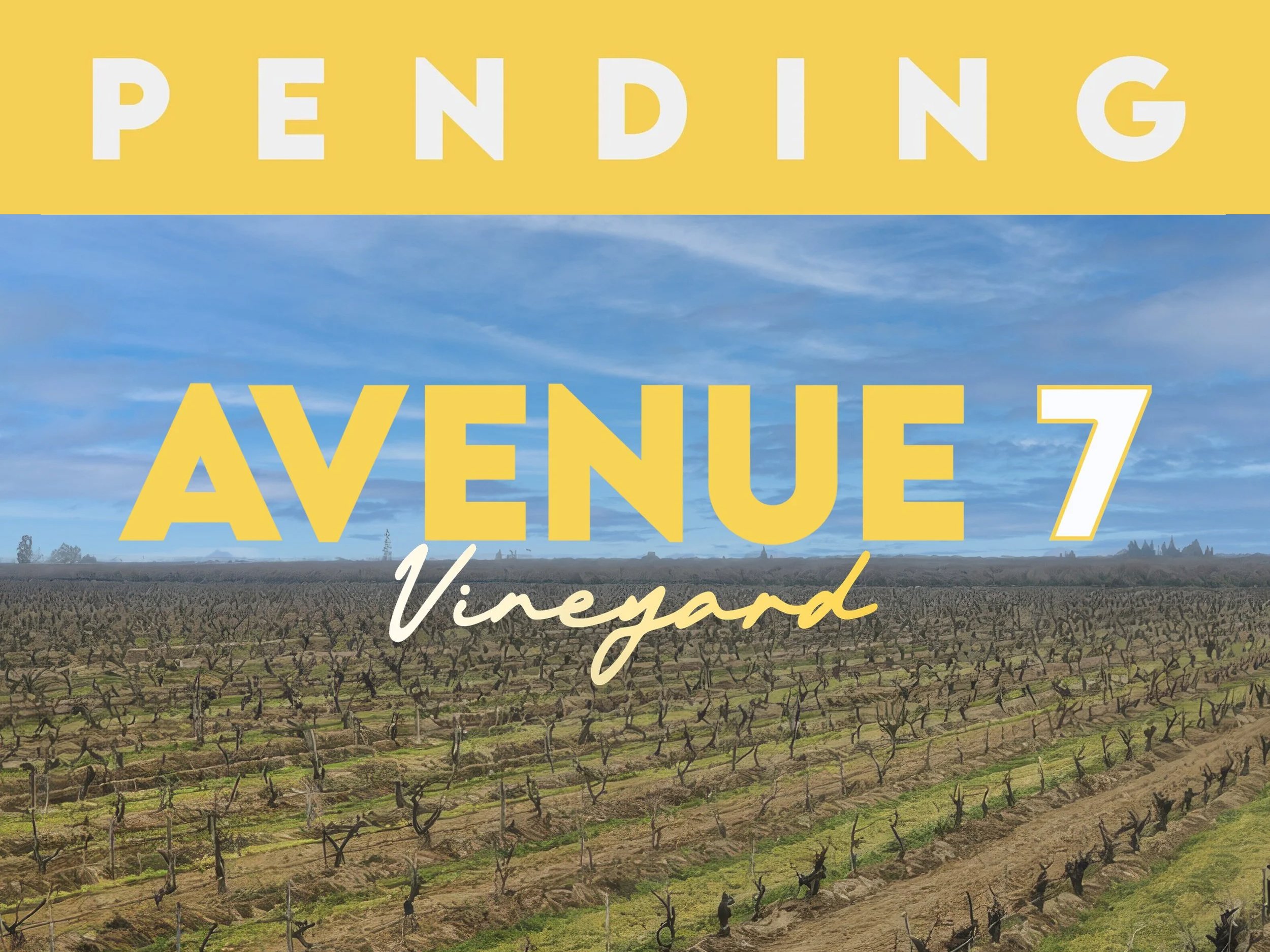 AVE 7 PENDING FINAL.jpg