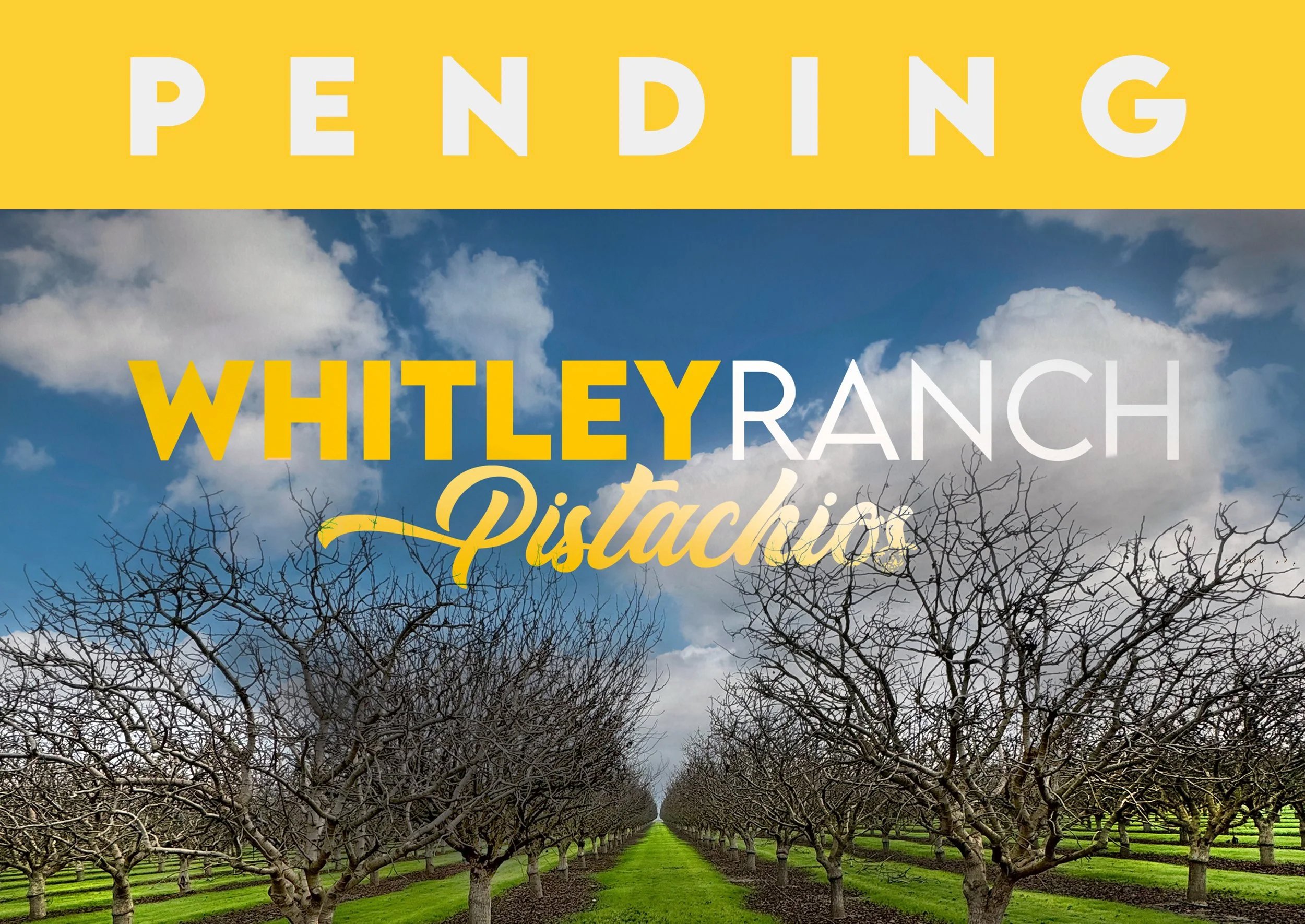 WHITLEY PENDING.jpg
