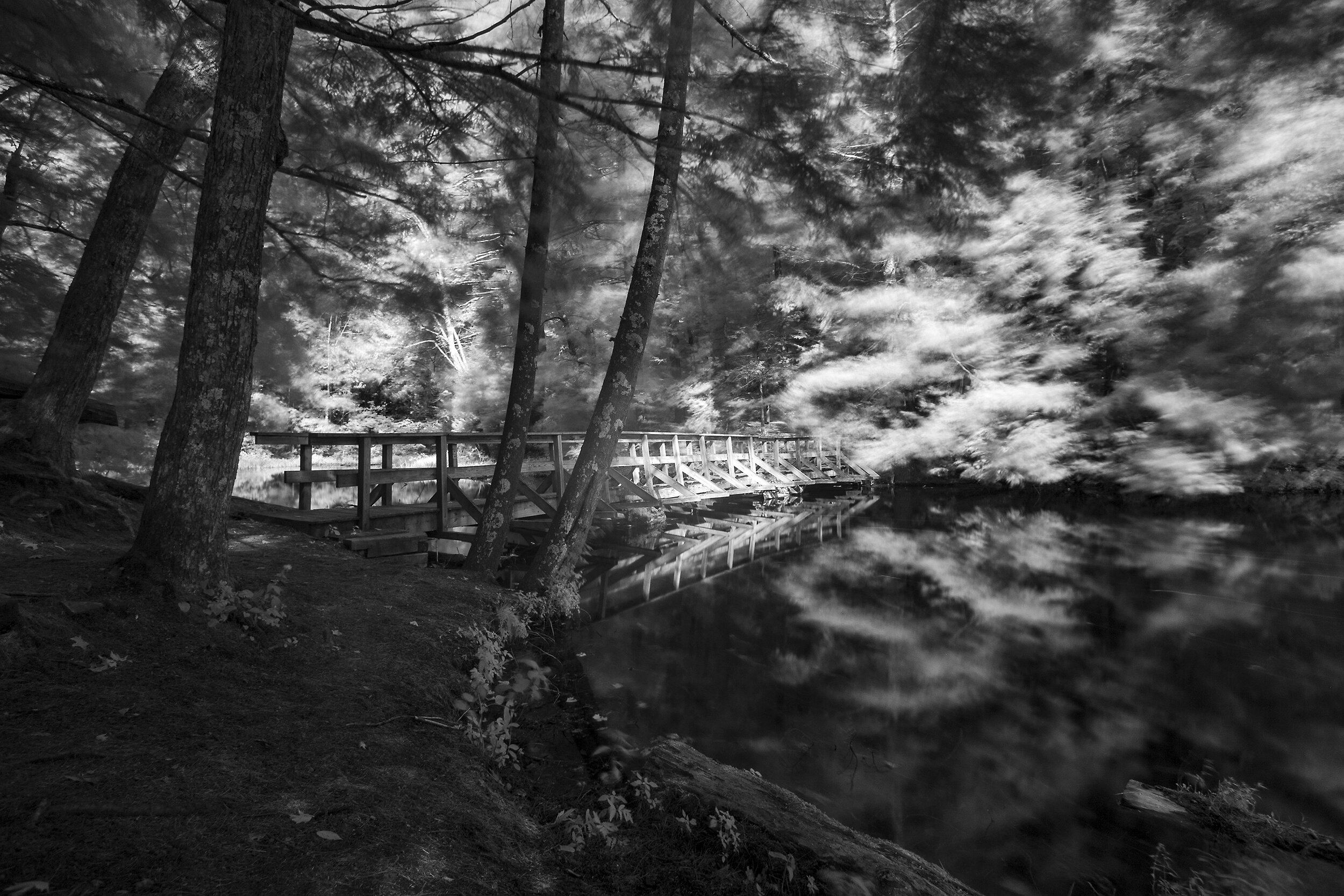 Lake Shaftsbury, VT
