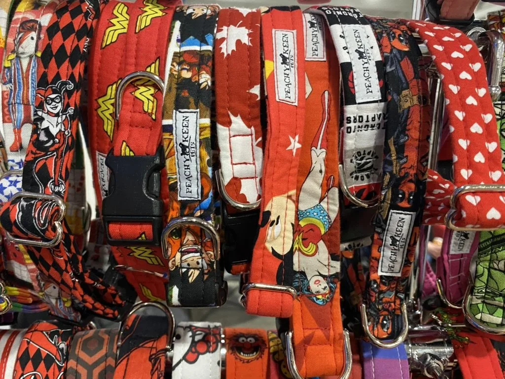 M Dog clip collar 3/4"  *READY TO SHIP*