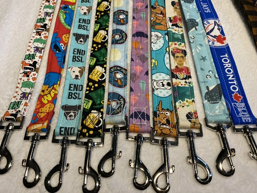 4ft Leash 1" wide *READY TO SHIP*