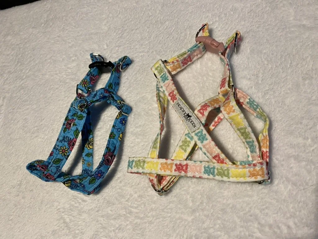XS Dog step-in harness 1/2"  *READY TO SHIP*