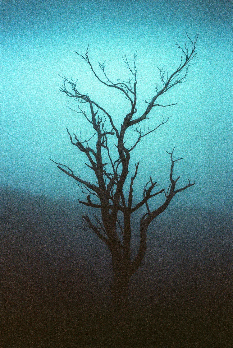 Picture from Ryan Muirhead