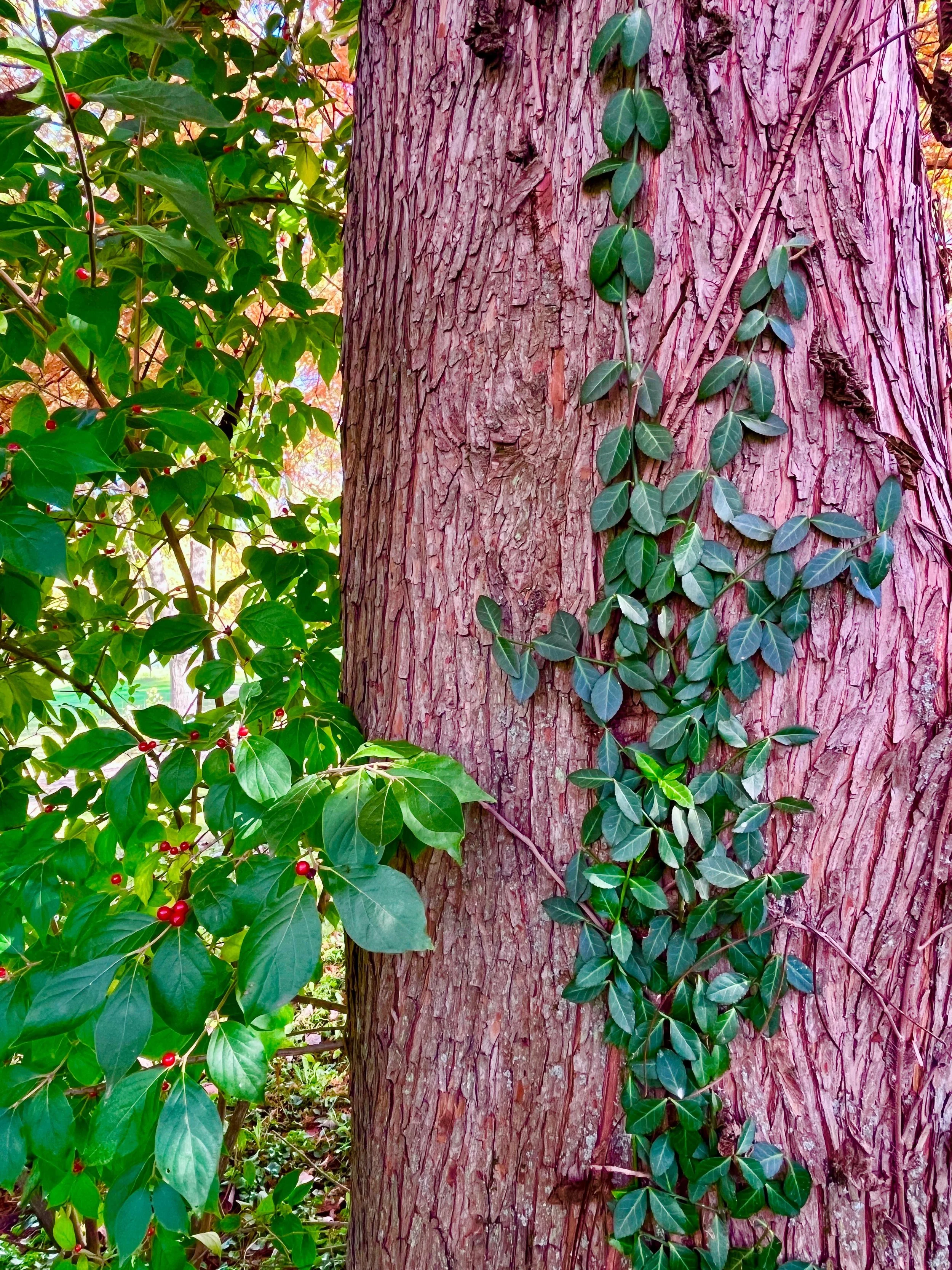 WhatsApp Image 2026-01-13 at 2.17.53 PM (2).jpeg