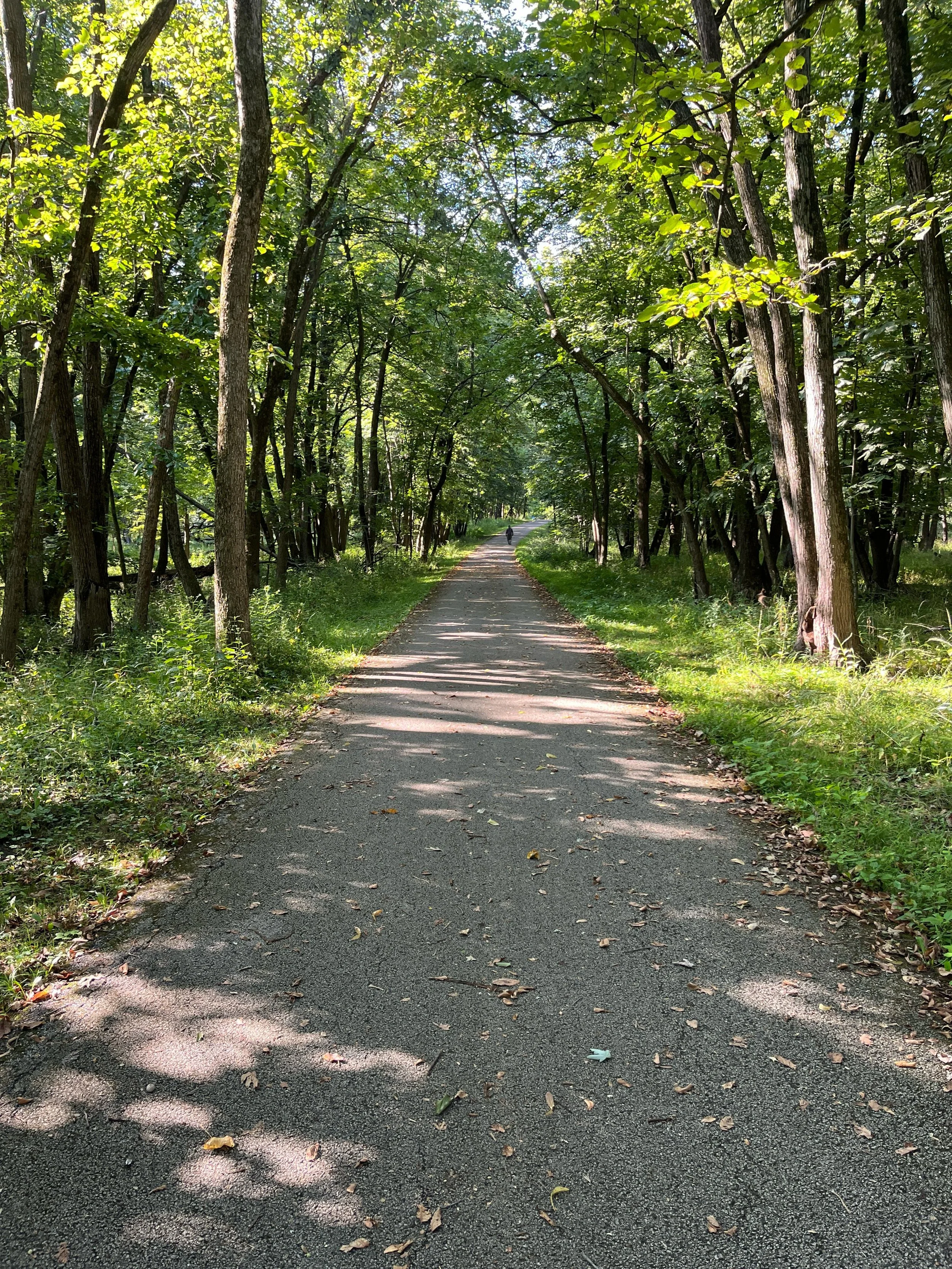 WhatsApp Image 2026-01-13 at 2.17.50 PM.jpeg