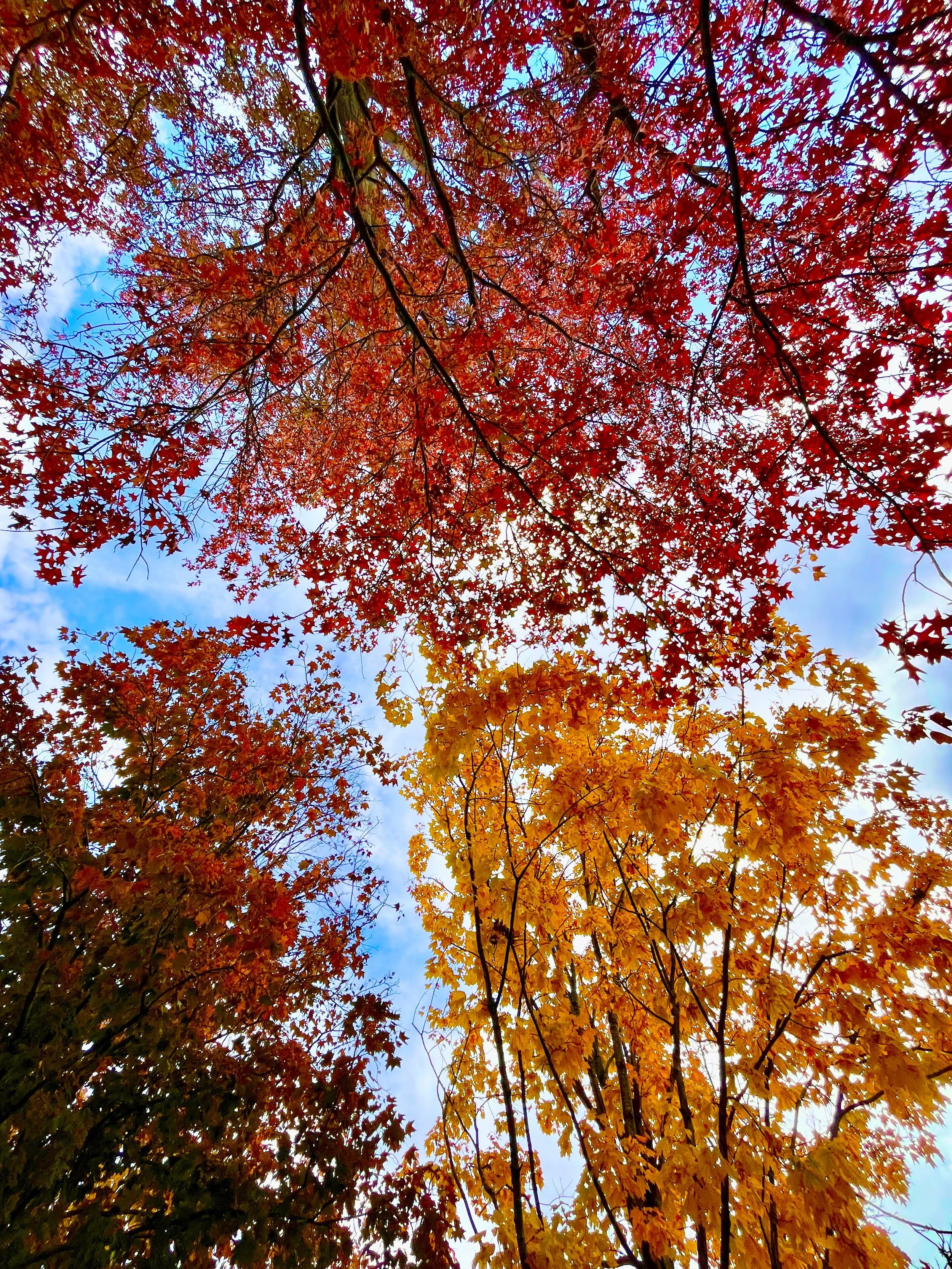 WhatsApp Image 2026-01-13 at 2.17.52 PM.jpeg