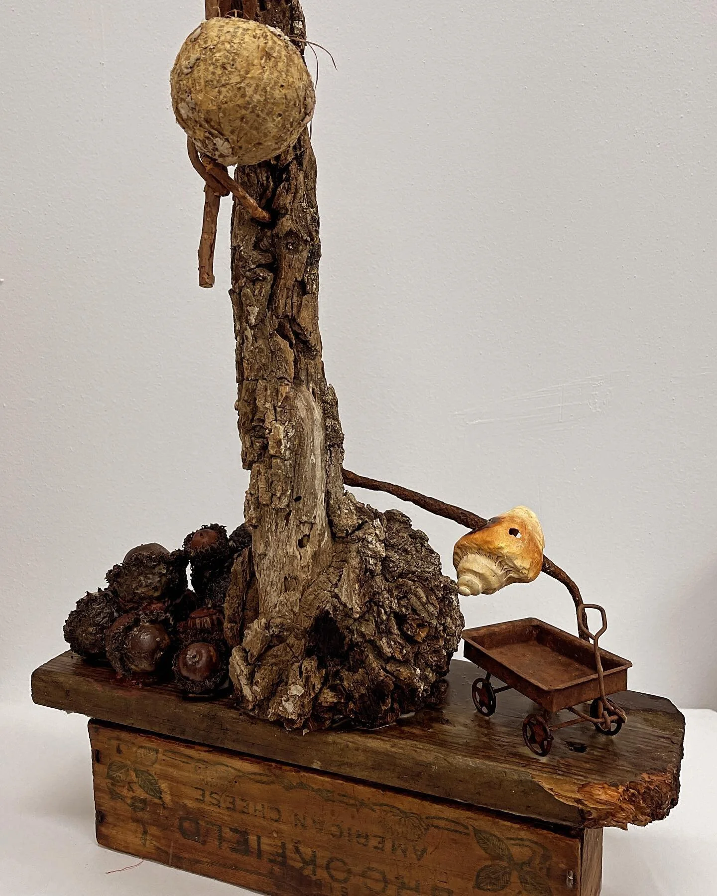 Another part of the &ldquo;home&rdquo; series is titled, "Empty Nest."
Wood, sea shell attaches to rusted metal, pecans in the shell, rusted toy wagon, birds nest on vintage wooden box
