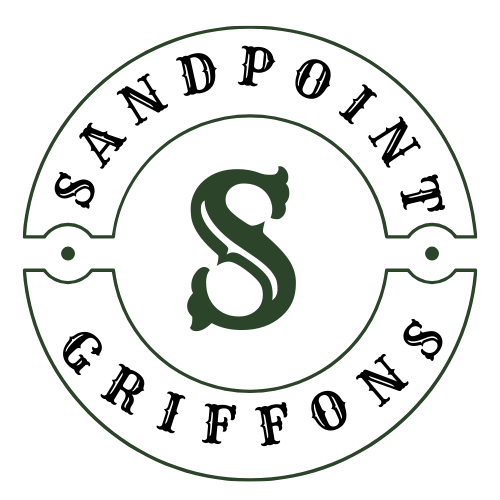 Welcome to Sandpoint Griffons