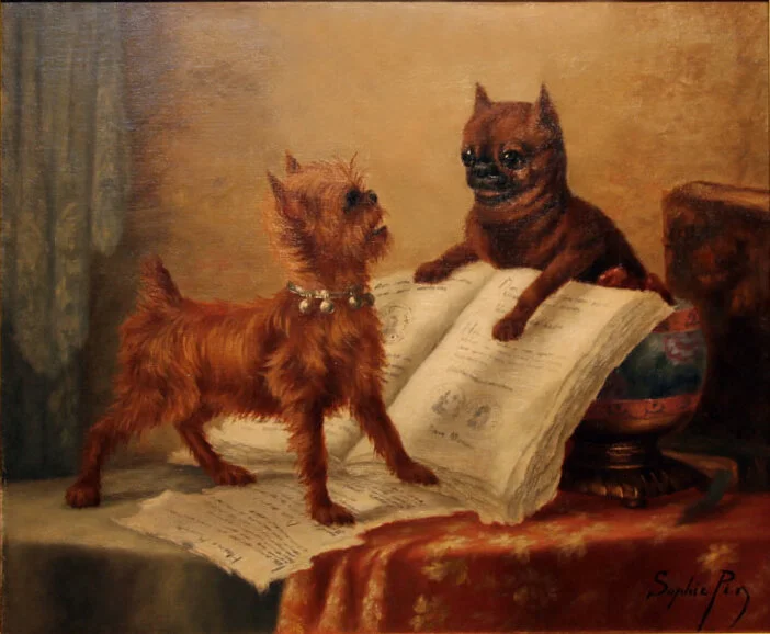 Brussels+Griffons+Art+Breeders+South+Africa.jpeg