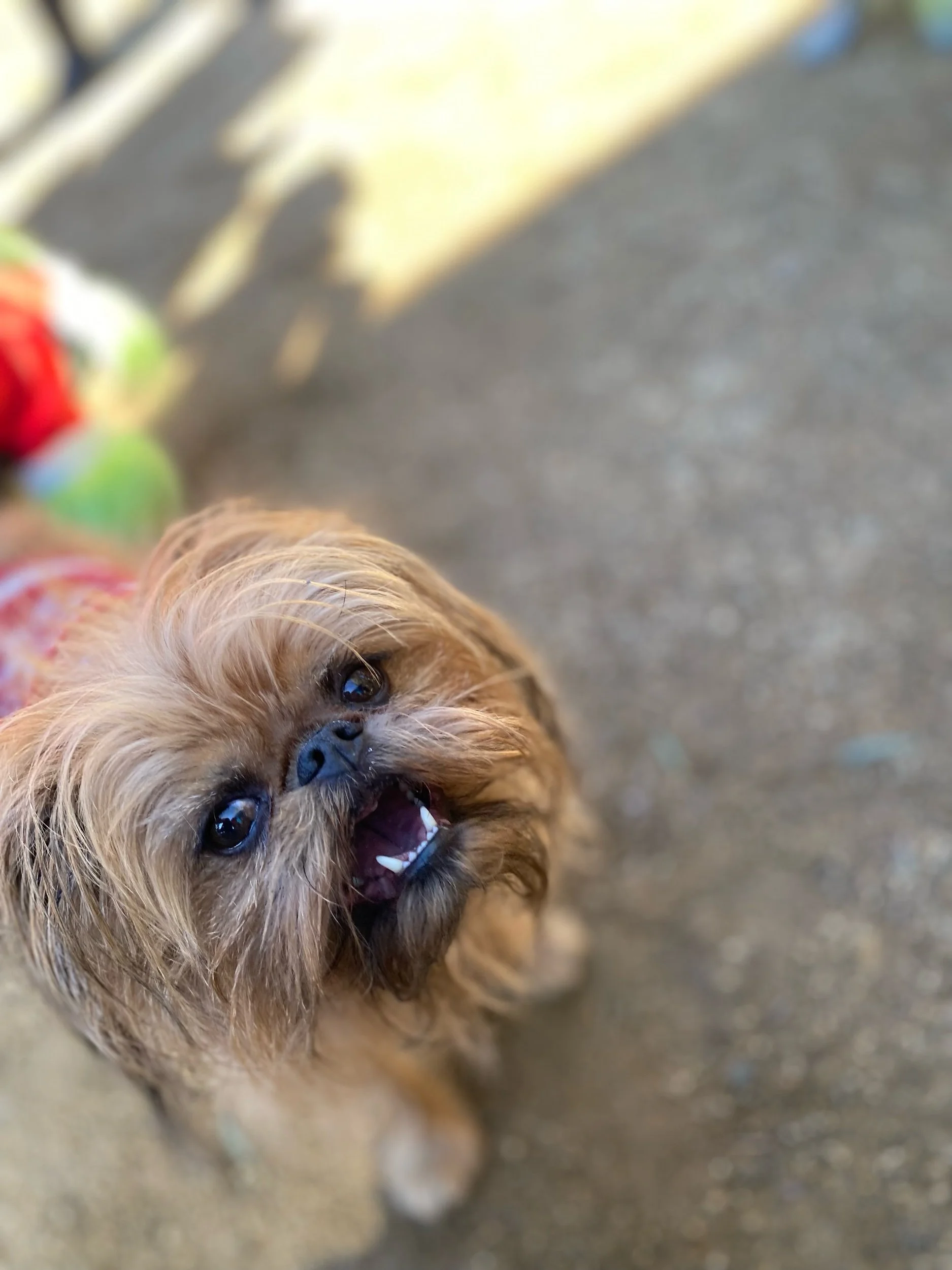 IMG_5830.jpeg
