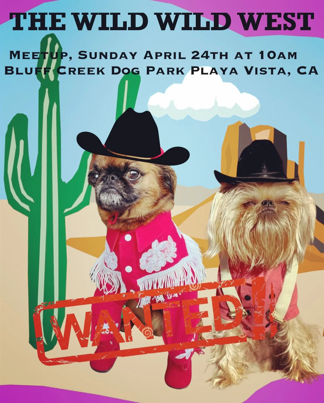 Wild Wild West 