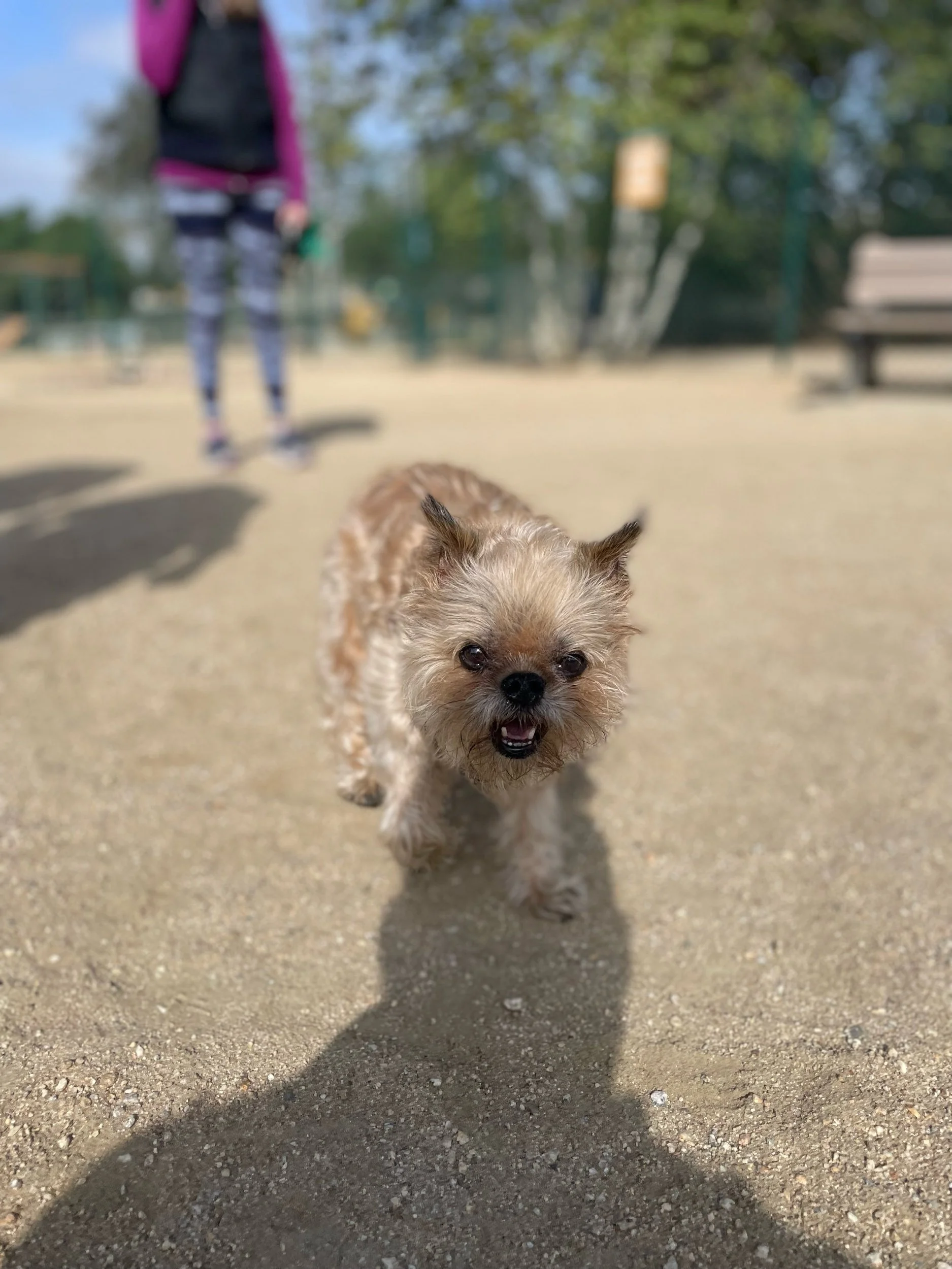 IMG_7977.jpeg