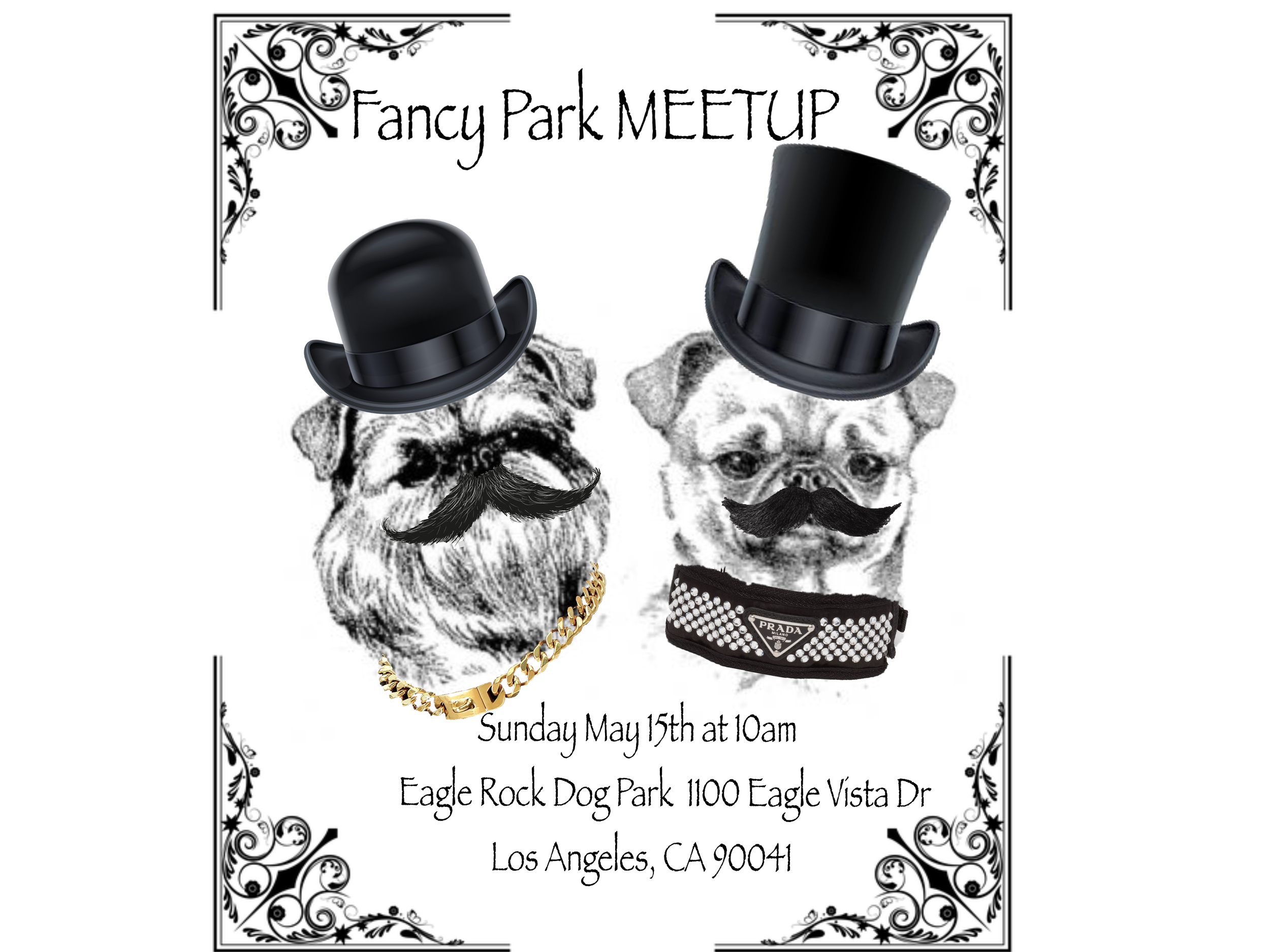 FANCY MEETUP