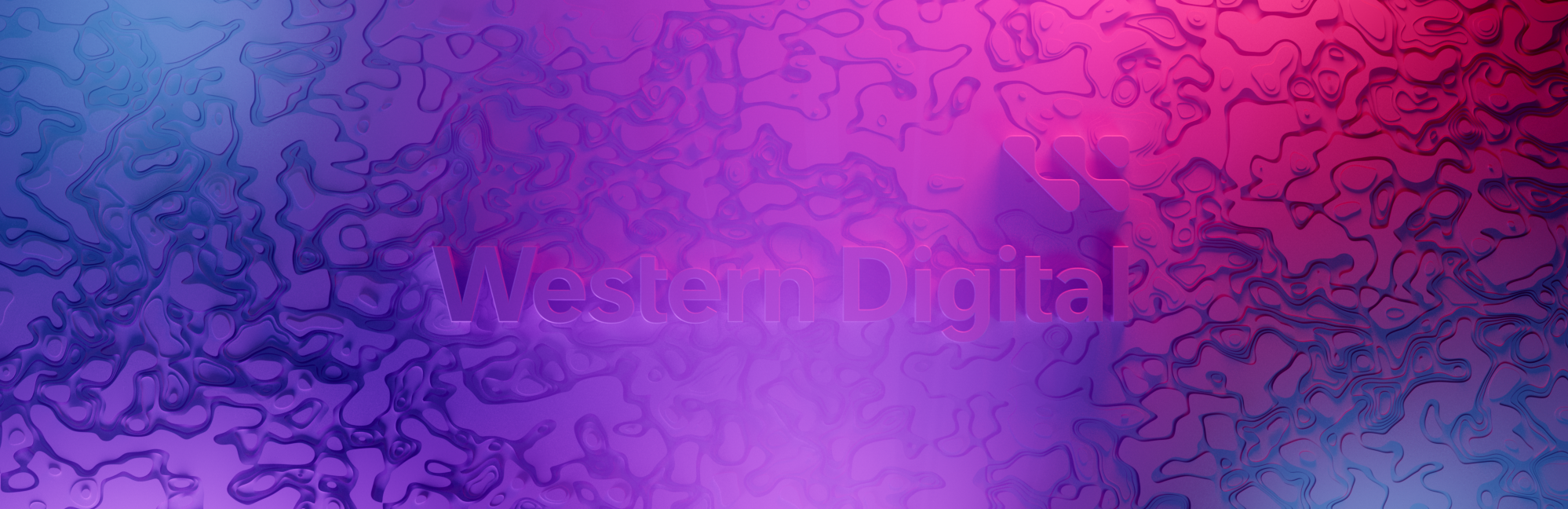 WD_MAINDISPLAY03_2.8_2022_V02.png