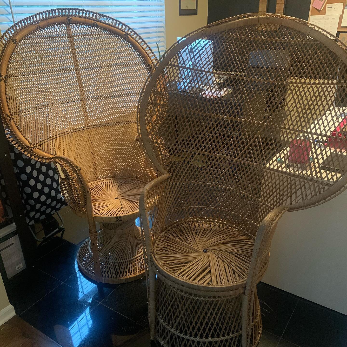 There will be a lot of Juneteenth events tomorrow in Metro Detroit, I promise we will be the only one that has Rattan Wicker chairs available to take pictures in. Come out and support the vendors and food trucks and take a pic! #juneteenthfamilyreuni