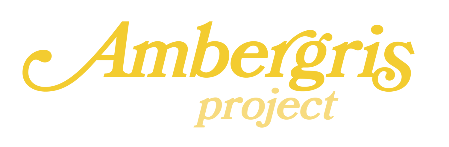 AMBERGRIS PROJECT
