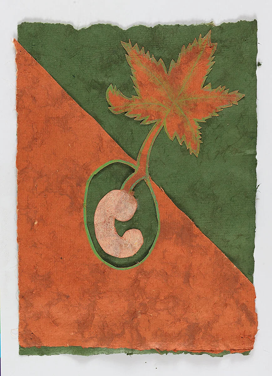 13_ml_cora-3.jpg